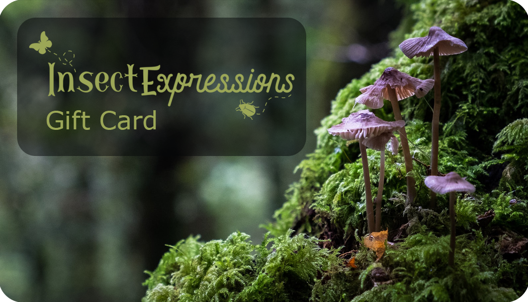 Insect Expressions handcrafted nature décor gift card