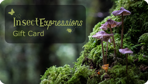 Insect Expressions handcrafted nature décor gift card